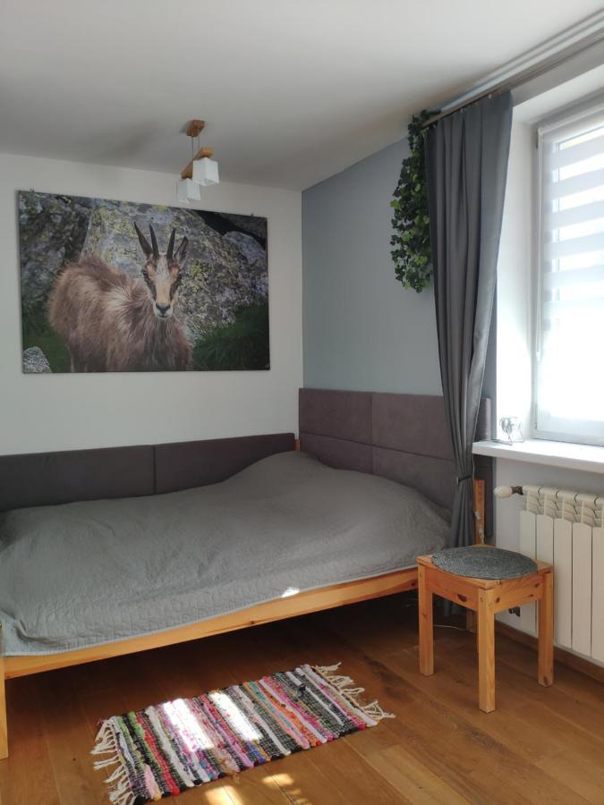Appartement Rupicapra à Zakopane Extérieur photo